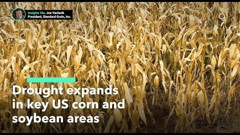 Drought Expands in Key US Corn and Soybean Areas