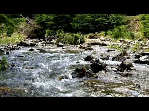 أسباب كثرة التثاؤب للشيخ العلامة محمد بن صالح العثيمين رحمه الله