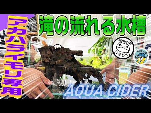 アクアリウム】アクアサイダーがアカハライモリ専用の滝の流れる水槽を