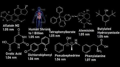 Everything Size Comparison Cooperation Universe Part 21