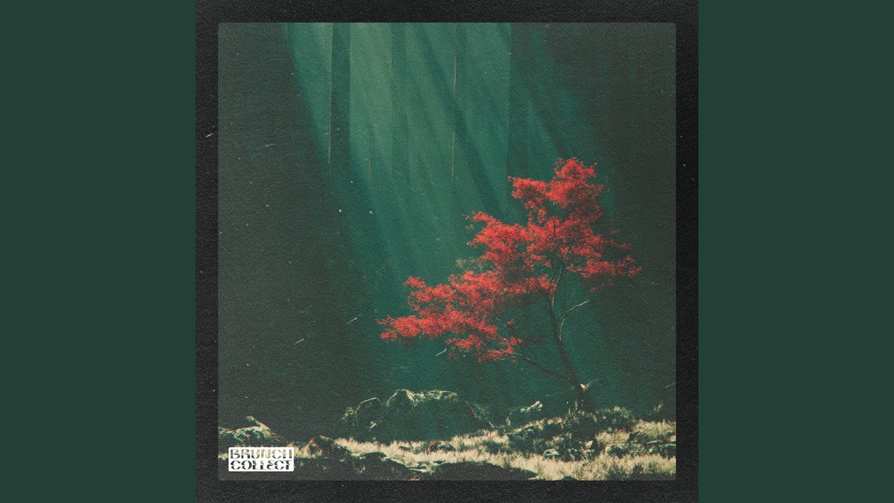Watch Forest Floor on YouTube Watch Forest Floor on YouTube