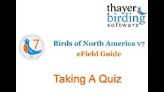v7 Take a Quiz