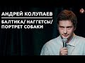 Андрей Колупаев - балтика/ наггетсы/ портрет собаки [СК#23]