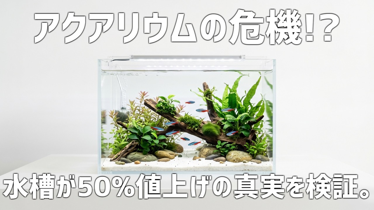 水槽セット値下げ　（決まりました） Rumors of a huge price increase for aquarium supplies. Can I still