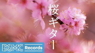 Soothing Acoustic Guitar Music with Cherry Blossoms 🌸 | Relaxing Sakura Guitar Vibes