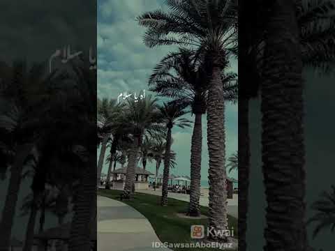 تيجى نشرب قهوة فى حتا بعيدة