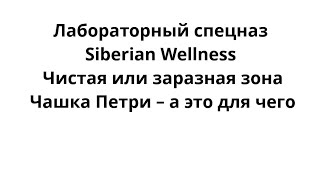 Лабораторный спецназ Siberian Wellness. Чистая или заразная зона. Чашка Петри – а это для чего