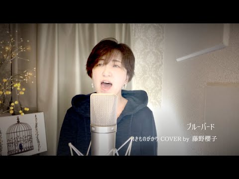 ブルーバード/いきものがかり COVER by 藤野櫻子
