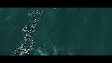 Thumbnail of Tarkan-Veda busesi