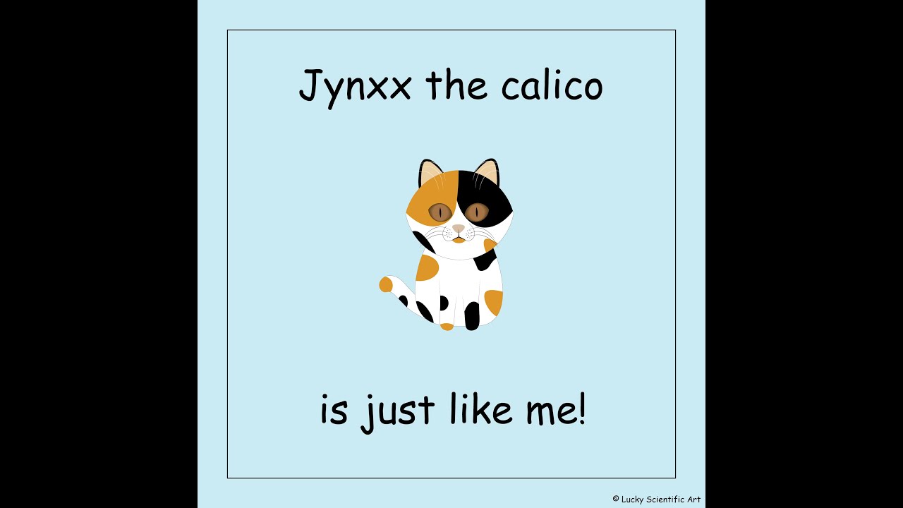 Jynxx the Calico is Just Like Me! Klinefelter Syndrome