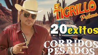 🔥 El Tigrillo Palma | Corridos Perrones de Pura Calidad 💯 ¡Grandes Éxitos!