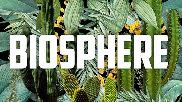 Under the Glass: Accessibility of Biosphere 2