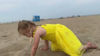 Millie Chasing Seagulls OC