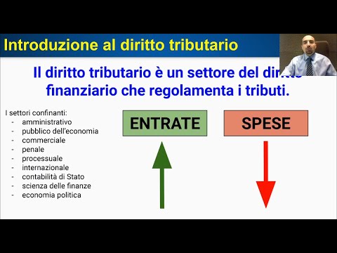 Video: Cos'è un viaggio d'affari: concetto, definizione, quadro giuridico, regolamenti sui viaggi d'affari e regole di registrazione