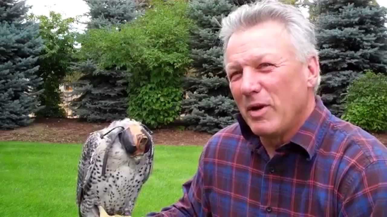 Christopher Boyce with Silver GyrFalcon (2013) YouTube