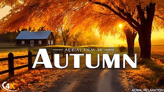 Enchanting Autumn Forests with Beautiful Piano Music?4K Autumn Ambience & Fall Foliage