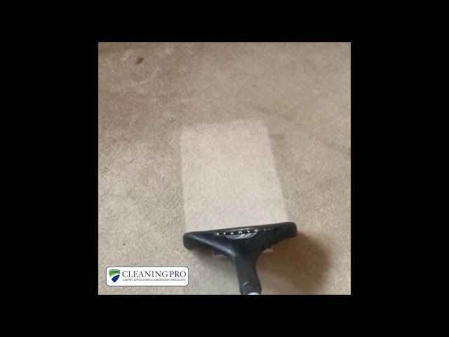 Carpet cleaning transformation in Sheffield (SheffieldCleaning.com)