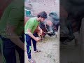 12 July 2025 Funny Video 12 July 2025 Funny Video