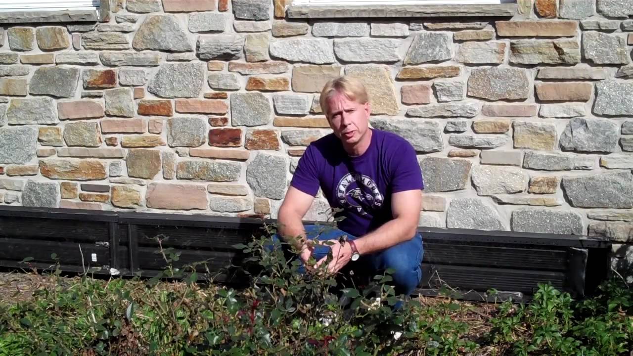 Aluminum Downspout Hot Air Solar Collector Construction YouTube