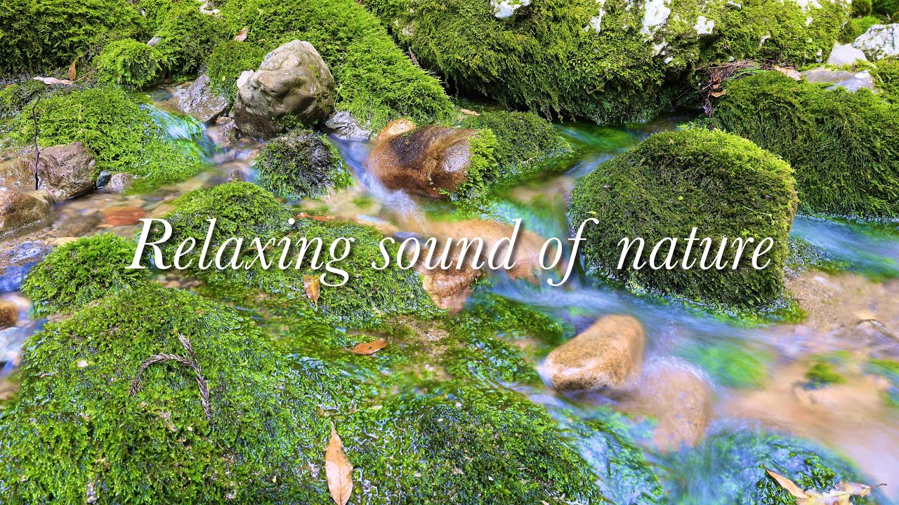 【自然音4K】 円原川の小さなせせらぎ 自然の音 Relaxing sound of nature 3h 【リラックス 睡眠 癒し ASMR ...