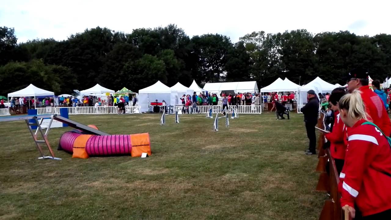 Fetch It // EO2016 agility ind