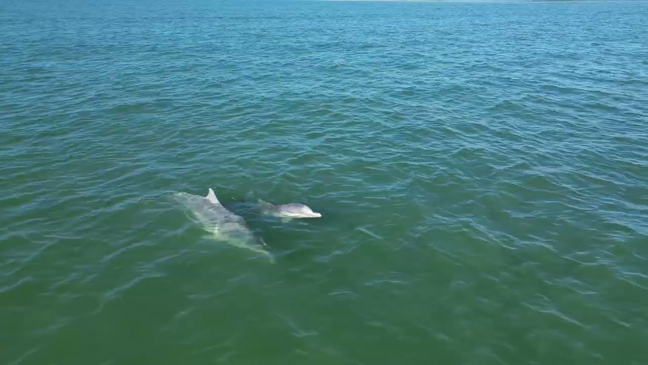 teewah beach and inskip point