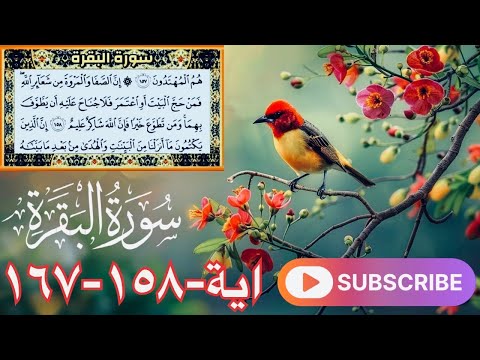 Surah AL BAQARAH 2 Ayah 158 167 Beautiful Quran Recitation Makkah 