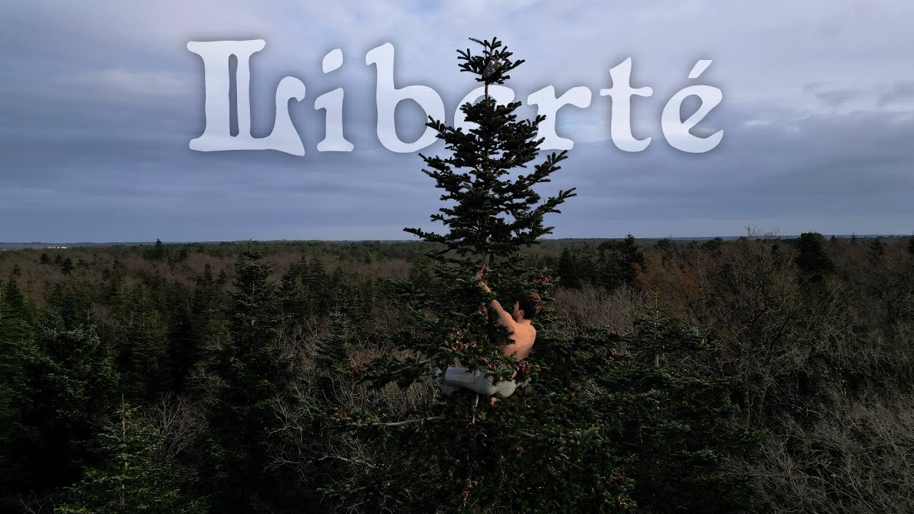 12min08 au Sommet du Monde... 🌳