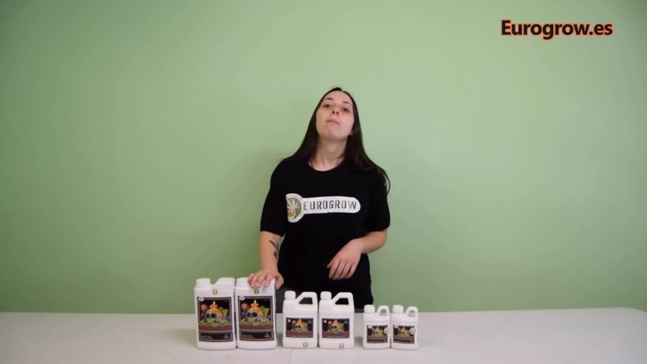 Voodoo Juice Advanced Nutrients Fertilizante para las Raíces - Eurogrow.es