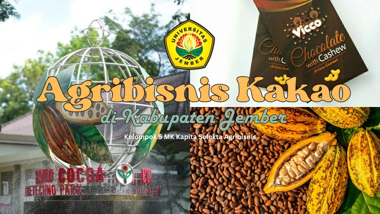 Kapita Selekta Subsektor Perkebunan Kakao - Kelompok 5 MK Kapita Selekta Agribisnis (G) 2023