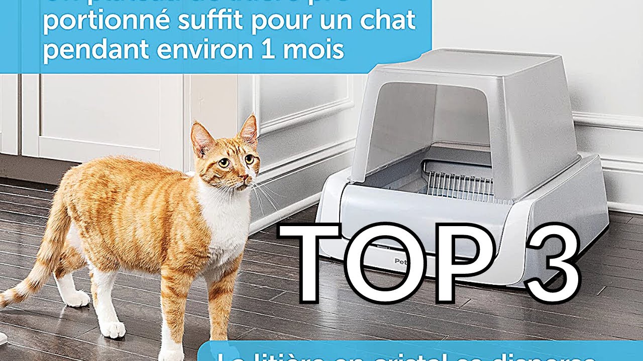 Les 5 meilleures litières à chat (2024)