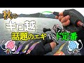 【ティップランエギング】話題のエギ早分かりインプレ！ギミック盛々エギと定番エギ対決で秋のアオリイカを狙います！