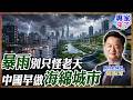 【專家精華】暴雨不能只怪天災？周錫瑋揭莫拉克救災經驗：中國海綿城市給台灣什麼啟示｜#周錫瑋 #專家來了 #ctitalk網路論壇