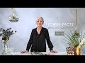 Flower Fact #3 with Jill Manson presented by The Johannesburg International Flower Show
