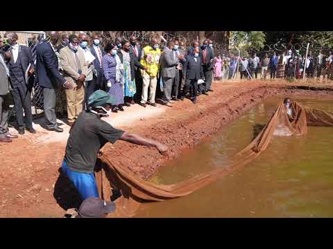 Video: Heavenly Fish Farming - Alternative View