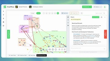 Introducing Graph Chat in KnetMiner: Natural Language Gene and Knowledge Discovery