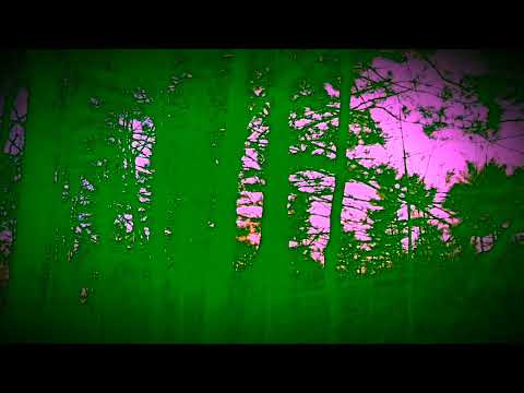 “Dizzy Height” Music by Olga France