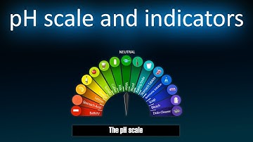 PH Scale and indicators || 3D animated video || class 10th || Acids , Bases and Salts ||