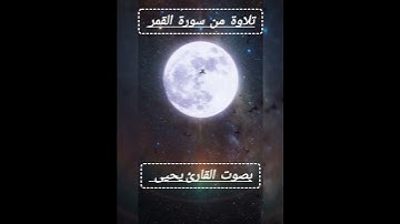 تلاوة  مبارك  بصوت  القارئ  يحيى