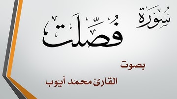 041 سورة فصلت .. محمد أيوب