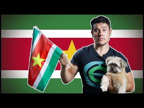 FLAG/ FAN FRIDAY SURINAME (Geography now)