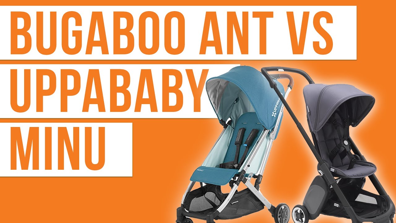 bugaboo bain