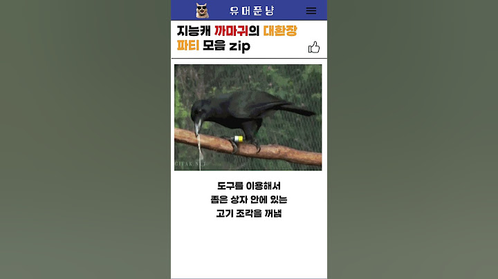 지능캐 까마귀의 대환장 파티 모음 zip #shorts  #웃긴영상 #유머