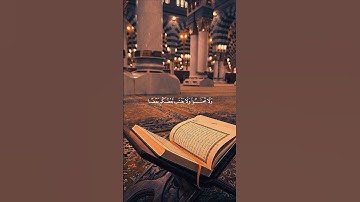 #تلاوة #خالد_الجليل #تلاوة_خاشعة #القران_الكريم #اكسبلور #المصحف #راحة_نفسية #الرحمن