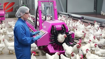 30 Minutes Satisfying Video Working & Exciting Factory Machines, Ingenious Tool, Admirable Worker▶01