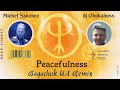 Miniature de la vidéo de la chanson Peacefulness