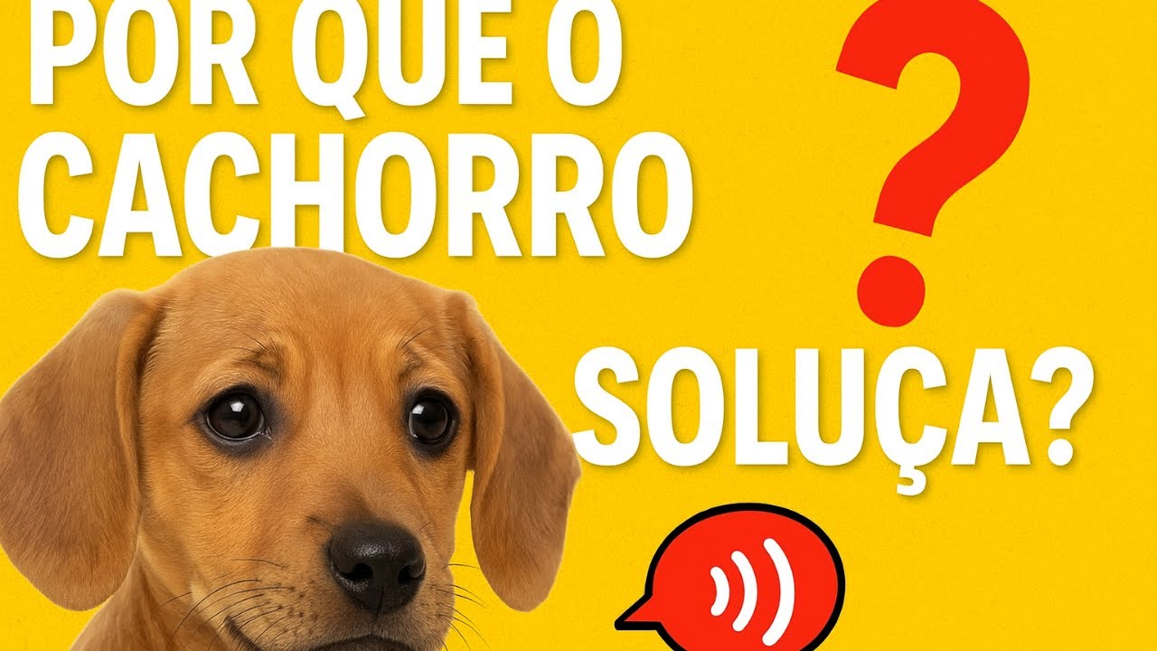 Soluca 🐶🤔 Por Que o Cachorro Soluça? Causas, Curiosidades e Cuidados! - YouTube