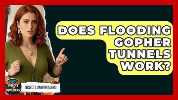 Does Flooding Gopher Tunnels Work? - Insects and Invaders