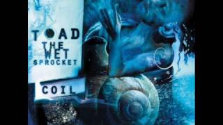 Watch Toad The Wet Sprocket Little Buddha video