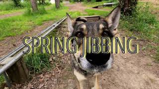 Spring Jibbing
